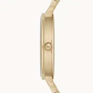 Emporio Armani Women’s Analog Stainless Steel Mother of Pearl Dial 32mm Watch AR11007