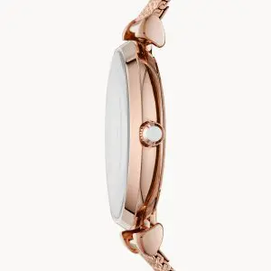 Emporio Armani Women’s Analog Stainless Steel Mother of Pearl Dial 32mm Watch AR11320
