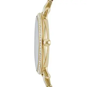 Fossil Women’s Quartz Stainless Steel Gold Dial 36mm Watch ES3547