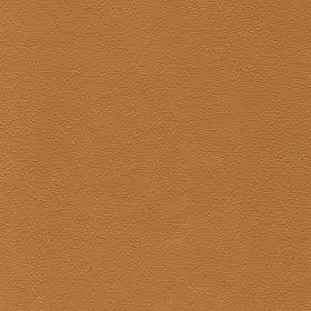 Camel Brown