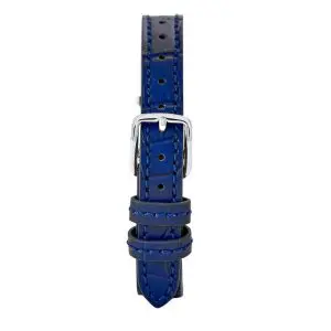 Coach Women’s Quartz Navy Blue Leather Strap Navy Blue Dial 26mm Watch 14503535