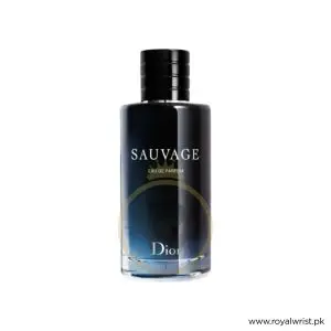 Alternative view of CHRISTIAN DIOR SAUVAGE EDT Perfume For Men 100ml (Original Perfume) PO3315