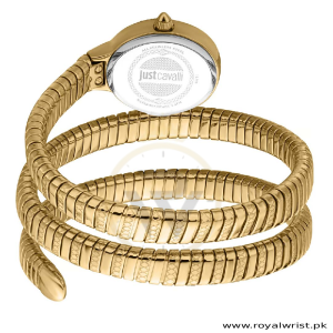 Just Cavalli Women’s Quartz Gold Stainless Steel Green Dial 22mm Watch JC1L269M0035