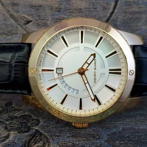 Pierre Cardin Men’s Analog Quartz Gold Watch