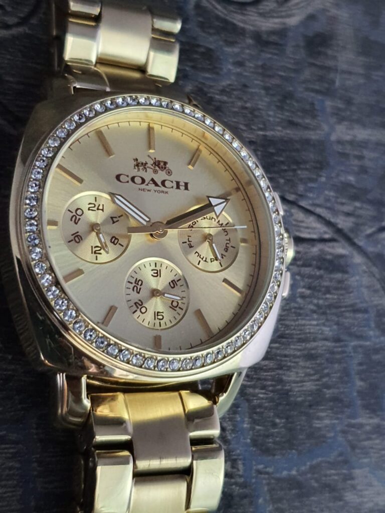 COACH Women's Gold Dial Watch 14502127 - Royalwrist.pk
