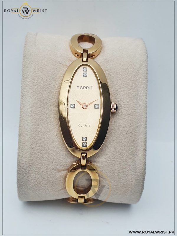 Esprit Women’s Quartz Stainless Steel Gold Dial 20mm Watch ES3812