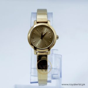 Hugo Boss Women’s Quartz Gold Stainless Steel Gold Dial 26mm Watch HB60671
